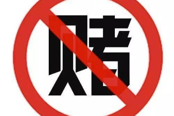 赌博人生：在输赢之间探寻命运的奥秘