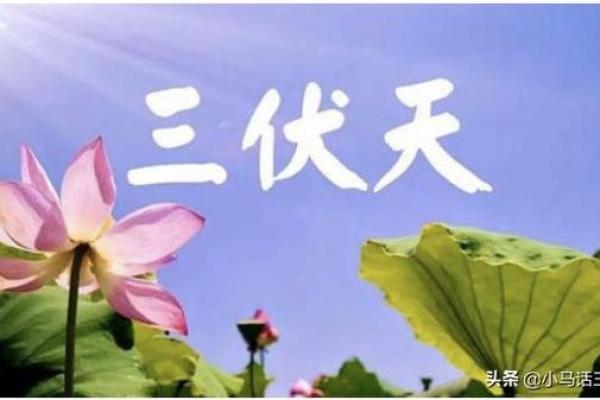 探讨中伏庚日命理:揭开命运与运势的神秘面纱 探讨中伏庚日命理:揭开命运与运势的神秘面纱