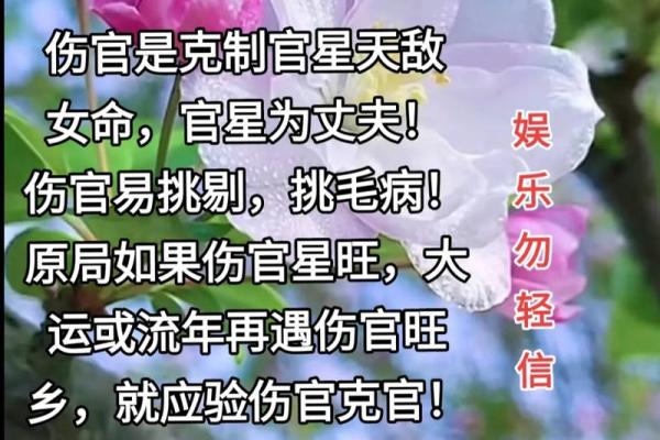 腊月龙女与她的木命：探寻神秘的传统文化魅力