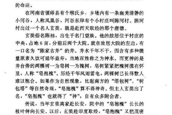 破解06年属狗人的命运之谜：性格、事业与感情]