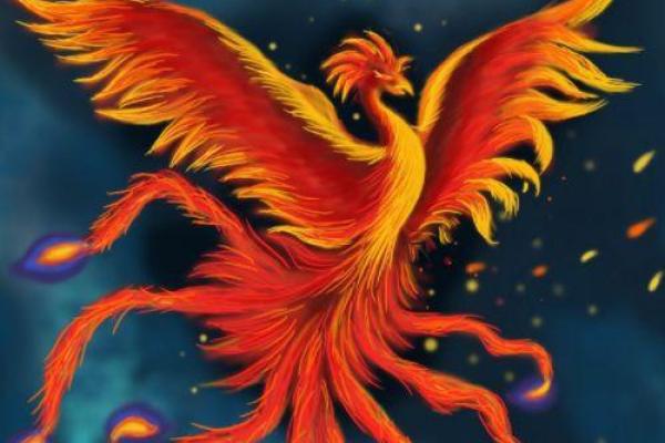揭秘神秘的凤凰命：哪个生肖拥抱华丽的转变？