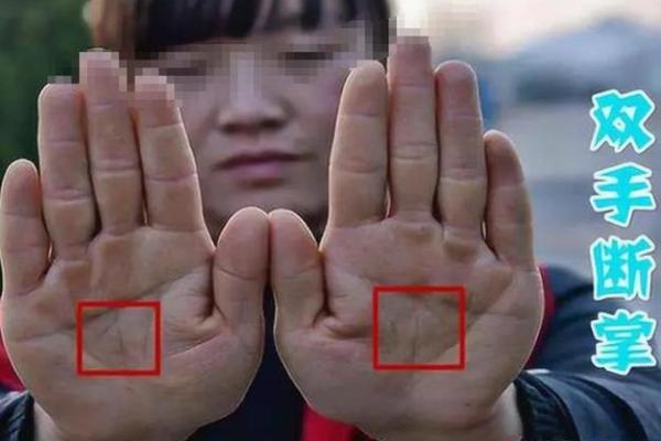 揭秘女人的断掌命格：深藏在掌纹背后的命运秘密