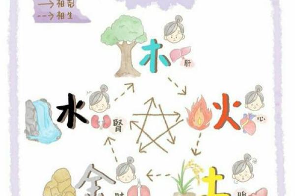 揭秘甲木命：五行齐全的命格解析与人生运势