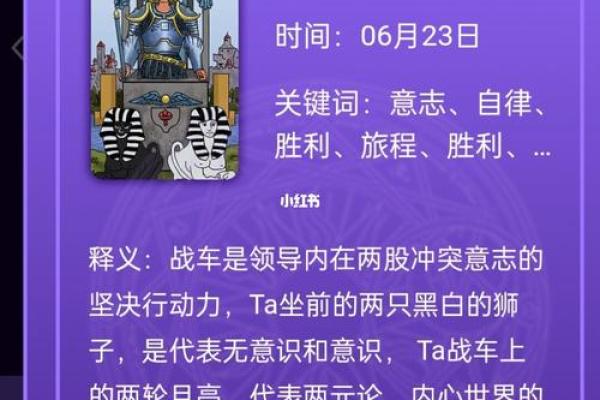 了解19号出生的命理：从数字看人生的旅程