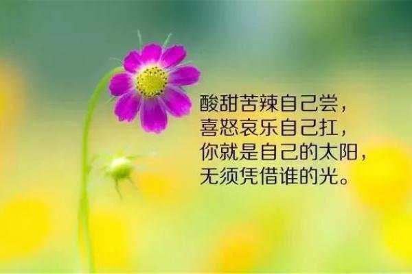 了解19号出生的命理：从数字看人生的旅程