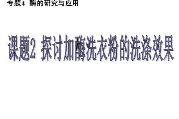 孑命的含义及其在生活中的应用探讨