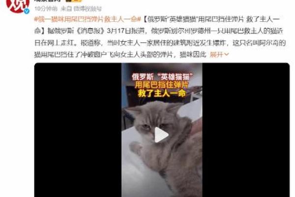 《开局一命换一命：命运交织的奇幻旅程》