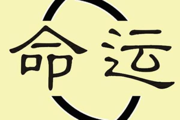 命理五朵金花：揭示命运的五大关键因素
