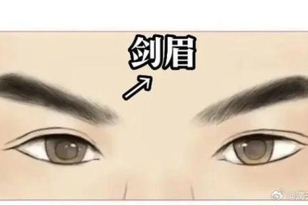 男士眉毛的秘密：眉型与运势关系探秘
