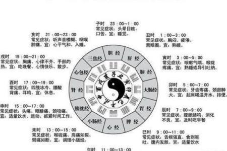 猪生于申时未时：探索命理中的秘密与智慧