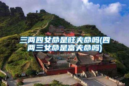 四两三命：人生的奇妙和命运的艺术