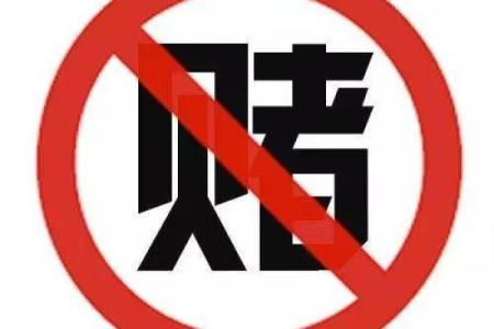 赌博人生：在输赢之间探寻命运的奥秘