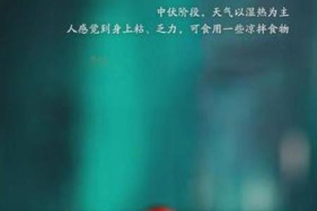 探讨中伏庚日命理：揭开命运与运势的神秘面纱