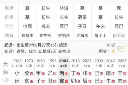 官杀混杂男命解析：揭秘命理与性别特征的复杂关系