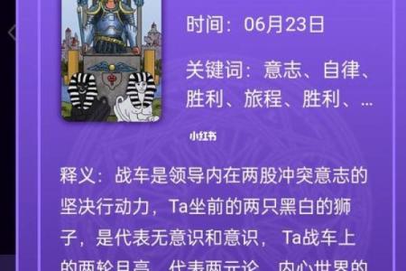 了解19号出生的命理：从数字看人生的旅程