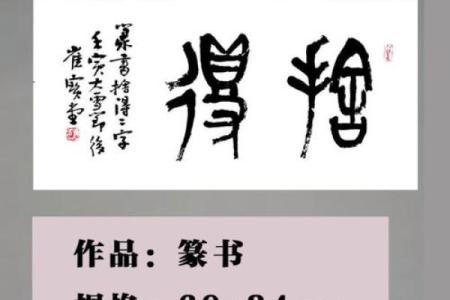 似命珍惜的内涵与人生哲学探索