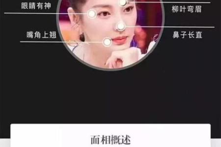 松柏木命的魅力：如何选择合适的饰品提升运势与气质