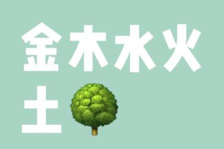 探秘壬辰时出生的命理之道，解读你的命运密码！