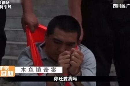 86岁老鼠的传奇人生：长寿背后的秘密与启示