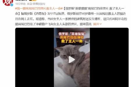 《开局一命换一命：命运交织的奇幻旅程》