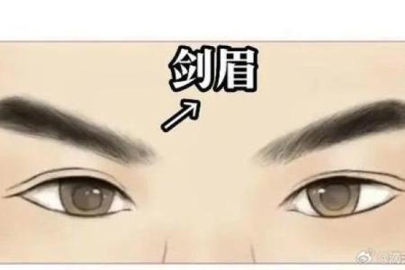 男士眉毛的秘密：眉型与运势关系探秘