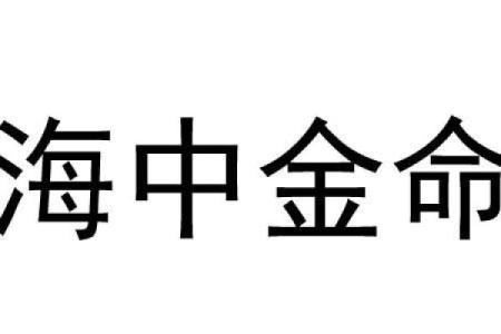 探秘命理：海中金男命运的特质与运势解析