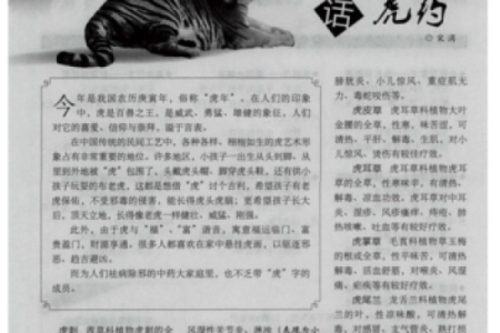 庚寅年虎年命理解析：探索虎年出生者的性格与命运