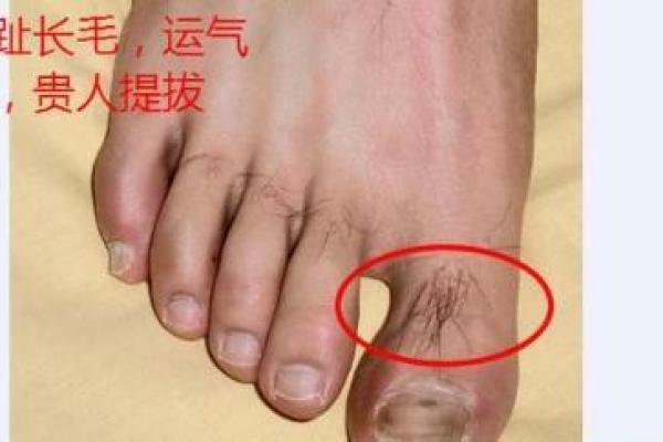 透过脚指头的长短，解读你的命运与个性！