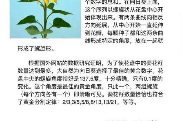 看看自己都是什么命，揭示命运奥秘的探寻之旅