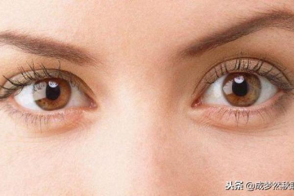 女人眼睛的魅力与富贵命的秘密解析