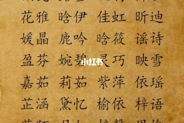 38岁生肖鼠的命理解析：如何把握好运与人生机遇