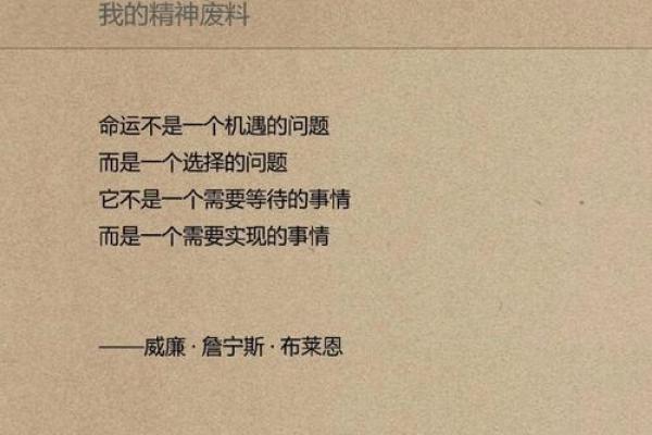33岁未婚女性的命运与选择：生活的多样性与未来的希望