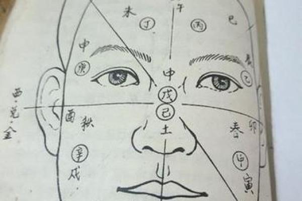看相算命，揭示命运的奥秘与人生的玄机