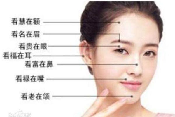 揭示81年属鸡人的命运与人生之路：从性格到职业的全解析
