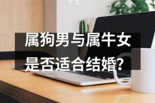 属狗人命不好？解读属狗之人的生活困境与应对之策！