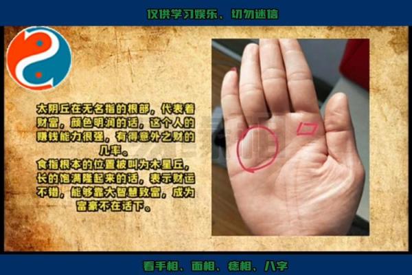 女人左手断掌的命格解析:揭示性格与命运的奥秘 女人左手断掌的命格解析:揭示性格与命运的奥秘