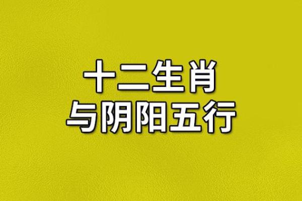 1982年猴年出生人命运解析：从生肖看人生的五行之旅
