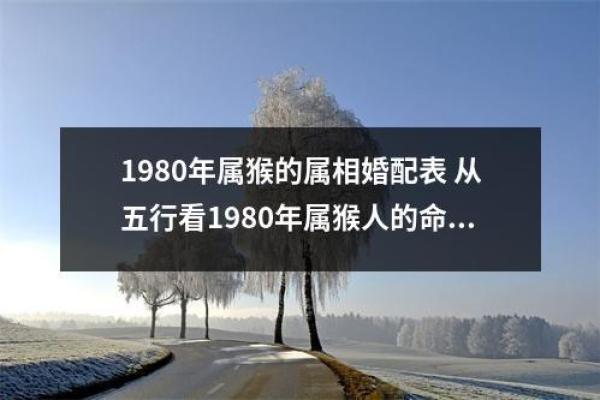 1982年猴年出生人命运解析：从生肖看人生的五行之旅