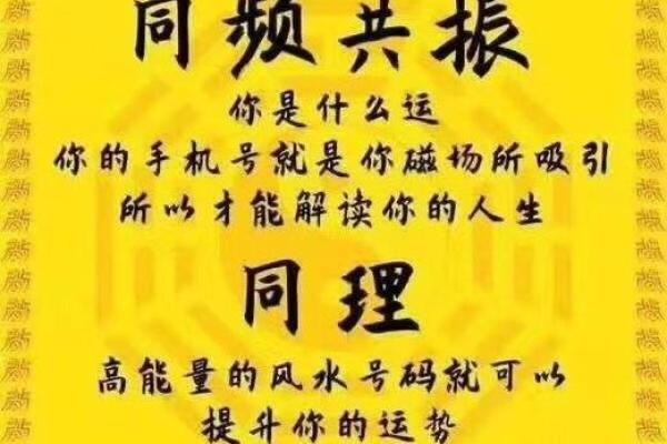 命理咨询的魅力：探索人生与宇宙的神秘联系