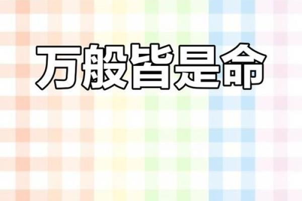 父亲意外去世的命运：生命无常，情感永存