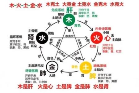 解密97年出生者的命运与五行之关系