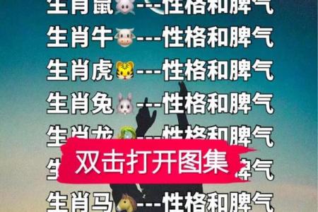 提炼84老鼠命理的奥秘：找出生命缺失的元素与提升方法