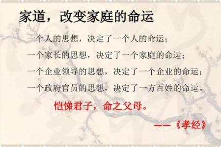 揭示81年属鸡人的命运与人生之路：从性格到职业的全解析