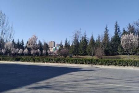 揭秘蛇年出生者的命理特点与人生轨迹