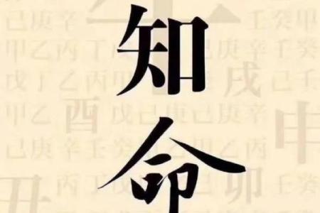 1991年摩羯座的命运解析：踏上成功之路的星象指引