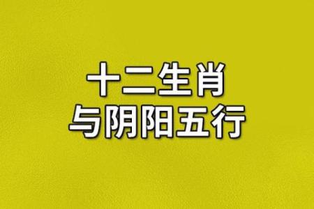 1982年猴年出生人命运解析：从生肖看人生的五行之旅