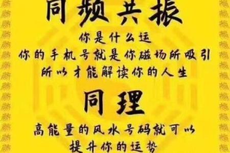 命理咨询的魅力：探索人生与宇宙的神秘联系