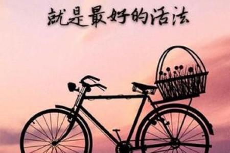 探讨福禄之命的因果关系：命理与人生的深度交织