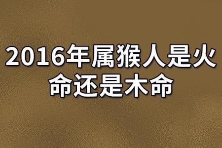 七五年生的人属什么命？揭秘他们的命运与人生