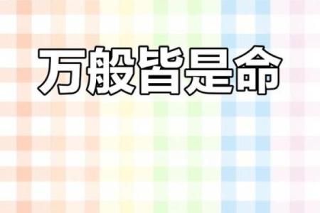 父亲意外去世的命运：生命无常，情感永存
